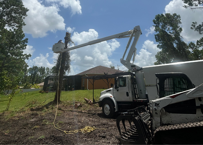 tree work lehigh acres fl