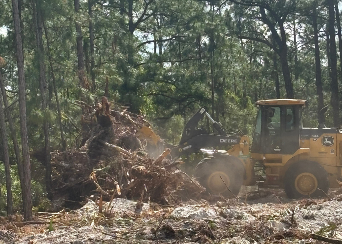 land clearing & land development lehigh acres fl