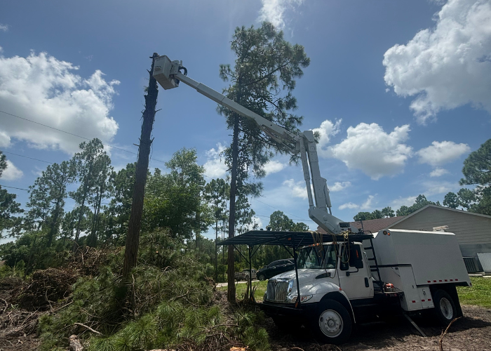 tree service lehigh acres fl